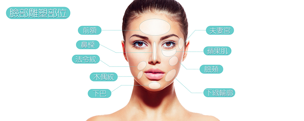 描述: 1.臉部雕塑部位.jpg