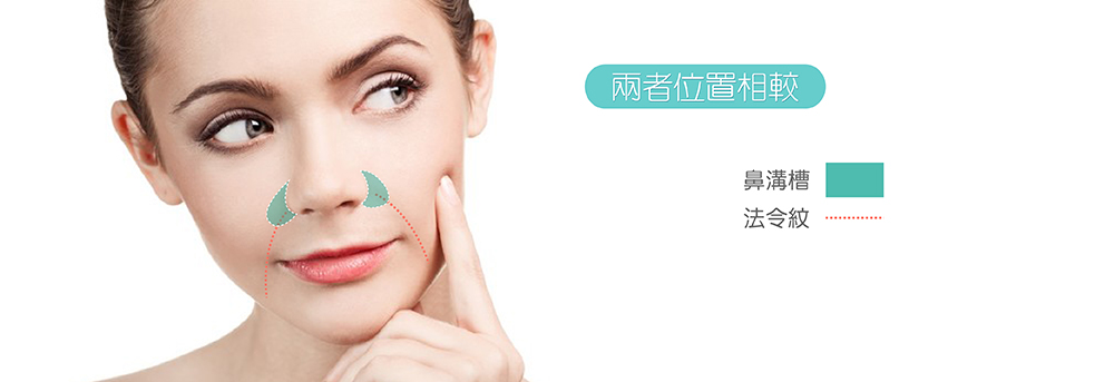 法令雙旋固定術